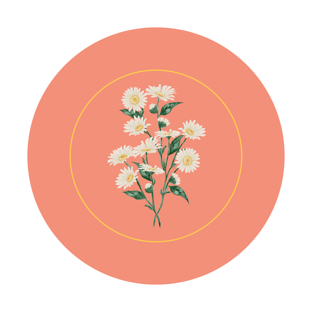 Vintage Garden Papatya Desenli Dikişsiz 3'lü Supla Kumaşı