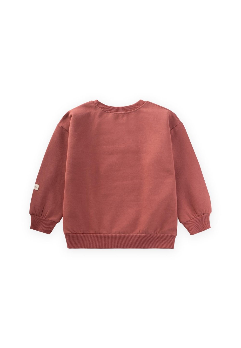 At Aplikeli Sweatshirt 1-6 Yaş Gül Kurusu