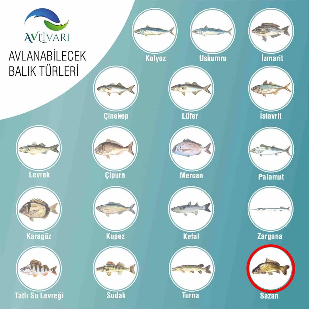 HightCarbon 300 Cm  Blue Bl-5000  Tam Takım Lüx Usta Profesyonel Hobi Sazan Balığı Avı Olta Seti 