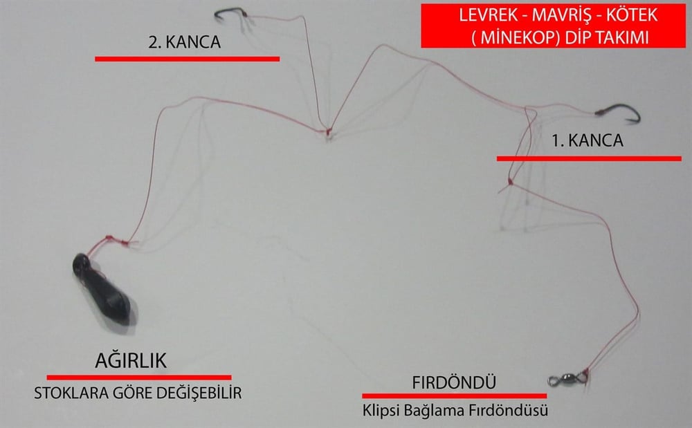 Levrek Mavriş Eşkina Minekop Dip Takımı