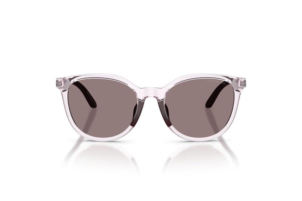 EMPORIO ARMANI  4007U 61397N 49-17  Güneş Gözlüğü
