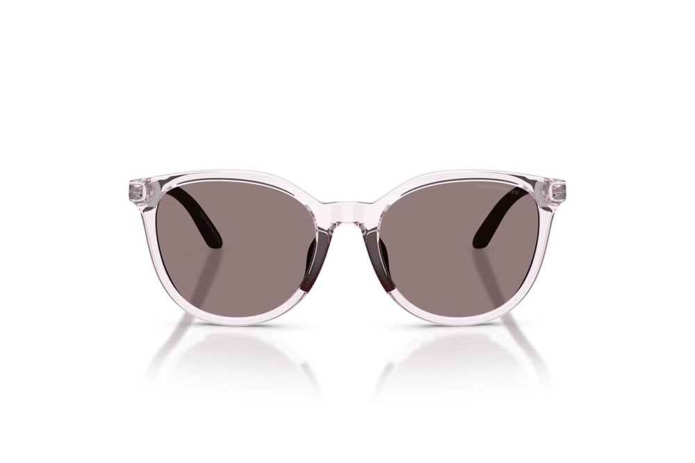 EMPORIO ARMANI  4007U 61397N 49-17  Güneş Gözlüğü