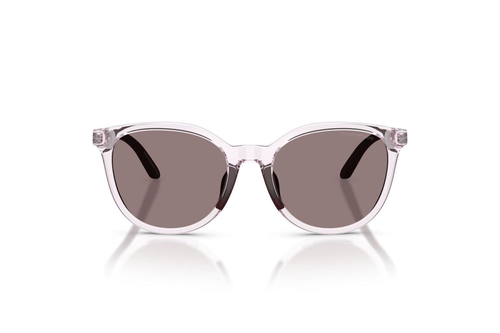 EMPORIO ARMANI  4007U 61397N 49-17  Güneş Gözlüğü