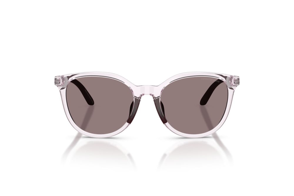 EMPORIO ARMANI  4007U 61397N 49-17  Güneş Gözlüğü