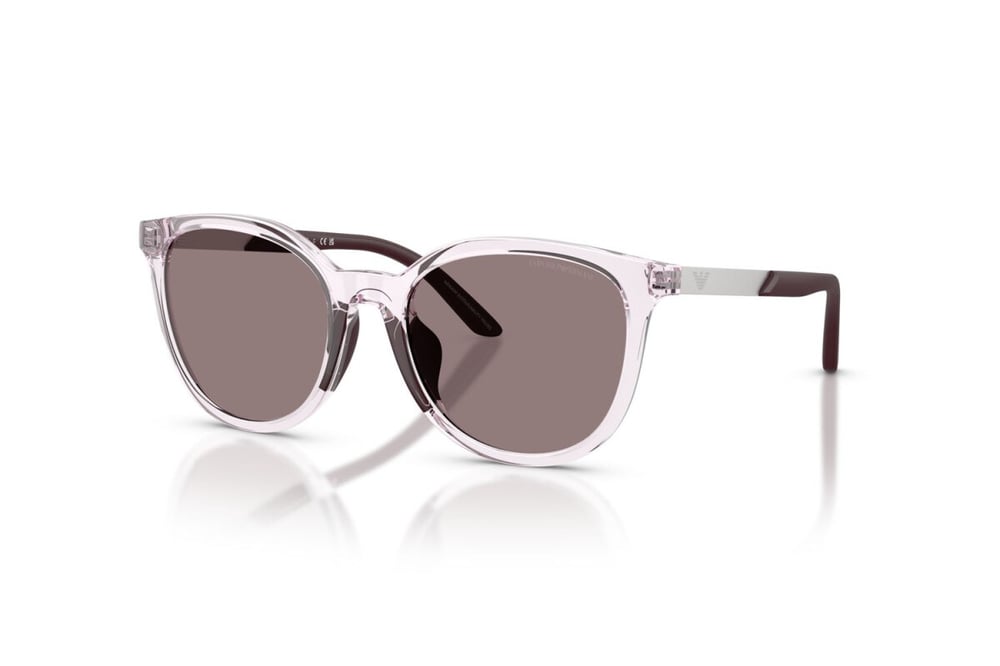EMPORIO ARMANI  4007U 61397N 49-17  Güneş Gözlüğü