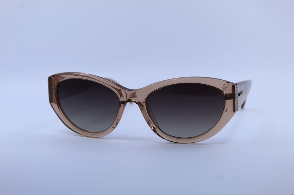 FERFARINI  1442 101 55-18  Güneş Gözlüğü