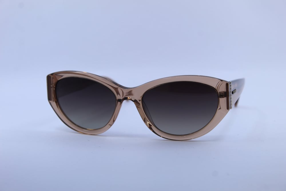 FERFARINI  1442 101 55-18  Güneş Gözlüğü