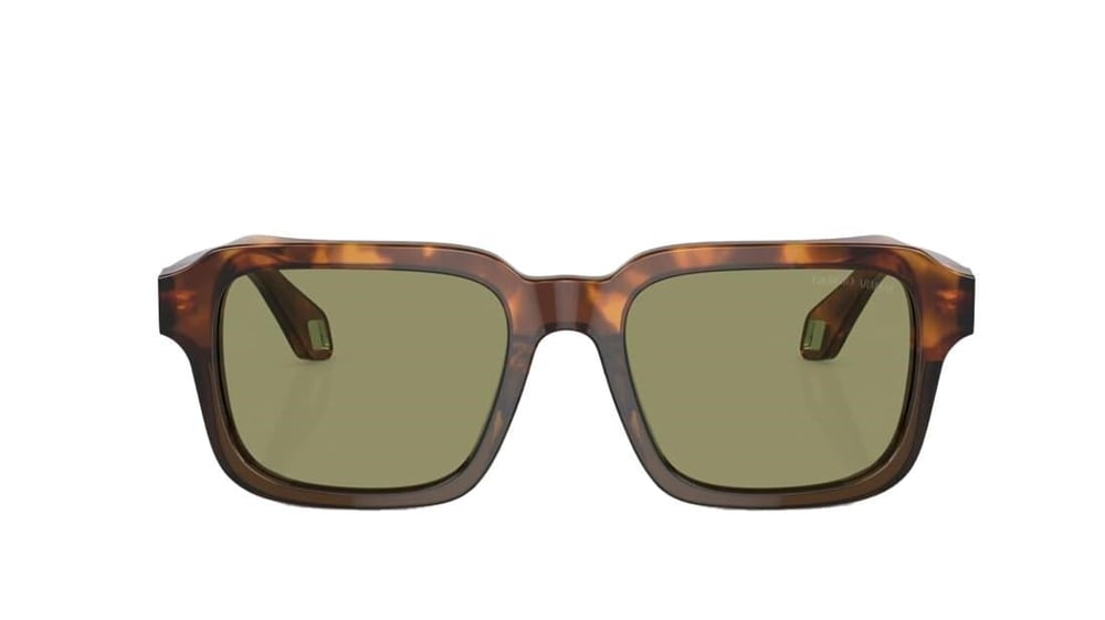 GIORGIO ARMANI  8194U 598814 53-19  Güneş Gözlüğü