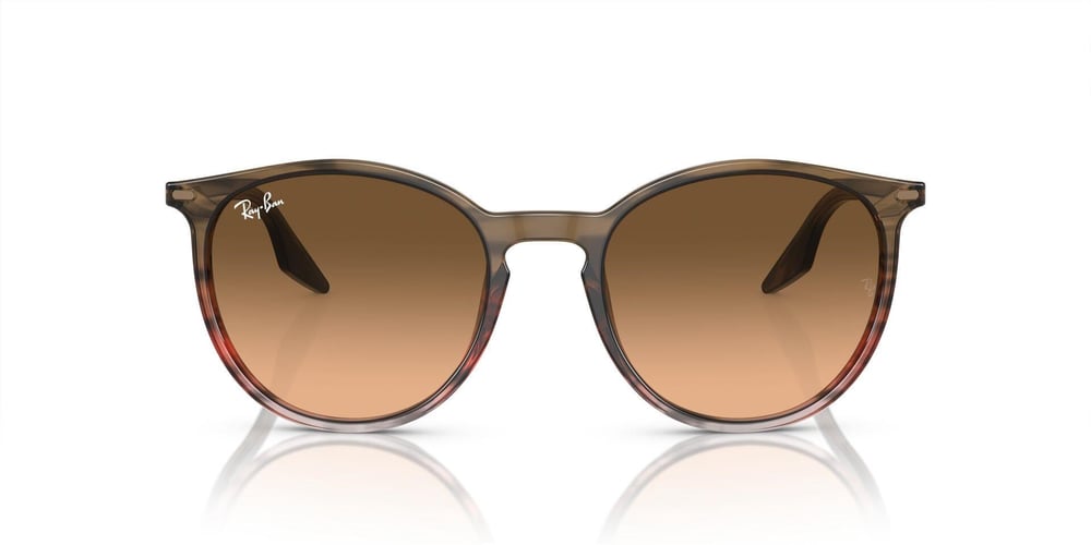 Ray-ban  2204 13953B 51-20  Güneş Gözlüğü