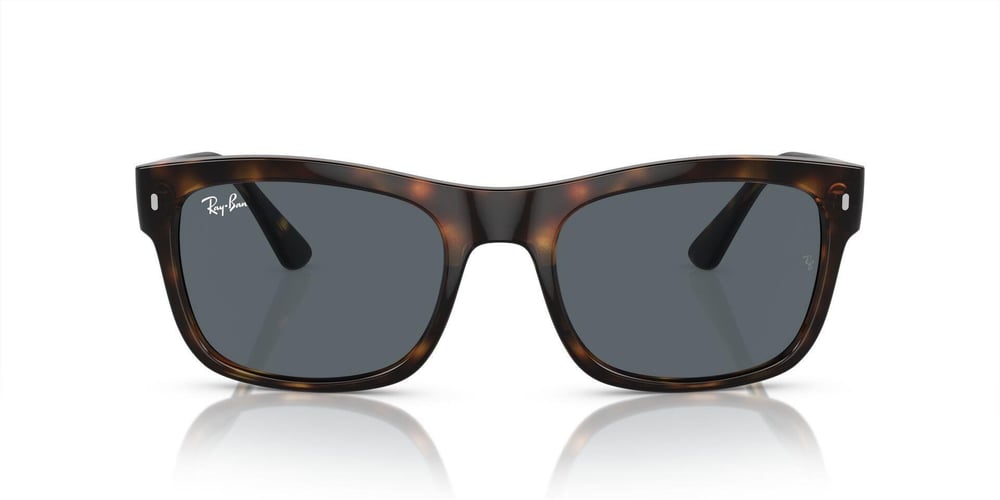 Ray-ban  4428 710/R5 56-21  Güneş Gözlüğü