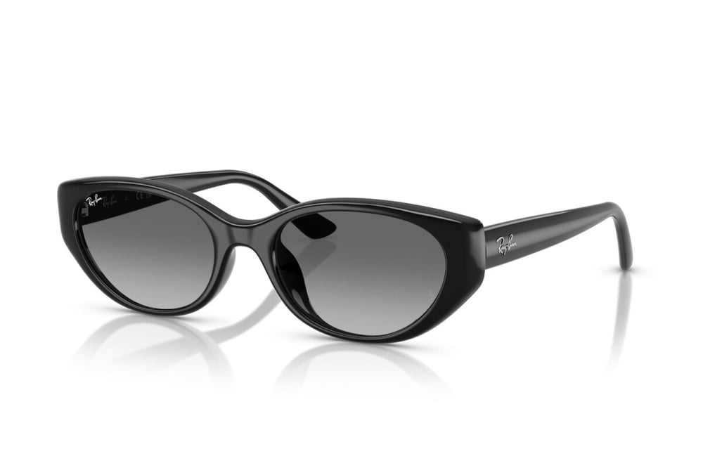 Ray-ban  4457D 667711 55-19  Güneş Gözlüğü