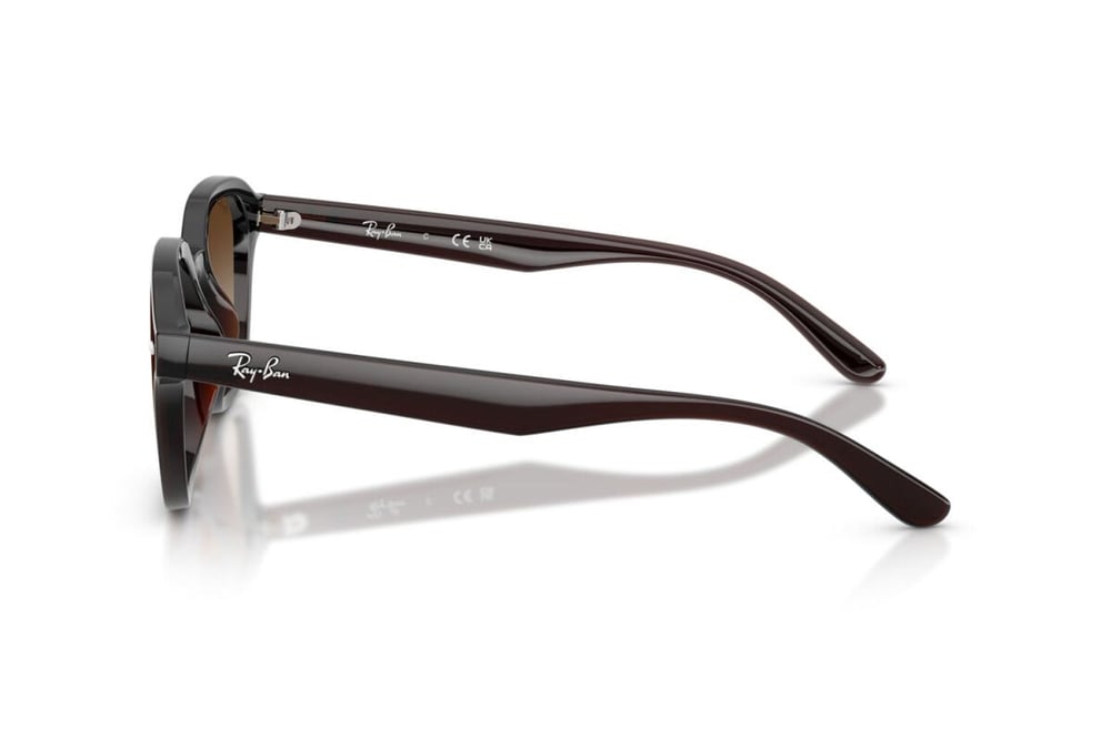 Ray-ban  4458D 714/13 65-18  Güneş Gözlüğü