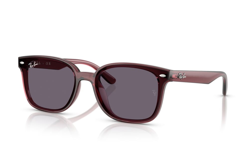 Ray-ban  4461D 659373 64-17  Güneş Gözlüğü