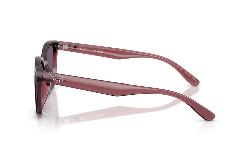 Ray-ban  4461D 659373 64-17  Güneş Gözlüğü