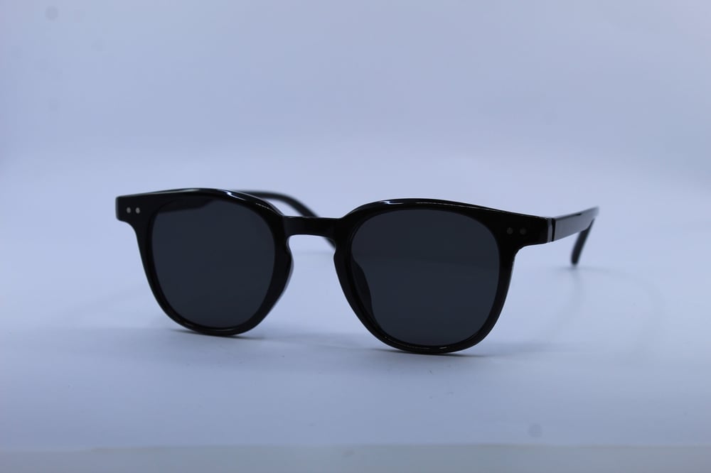 SUNBERRY  REMY 102 45-25  Güneş Gözlüğü
