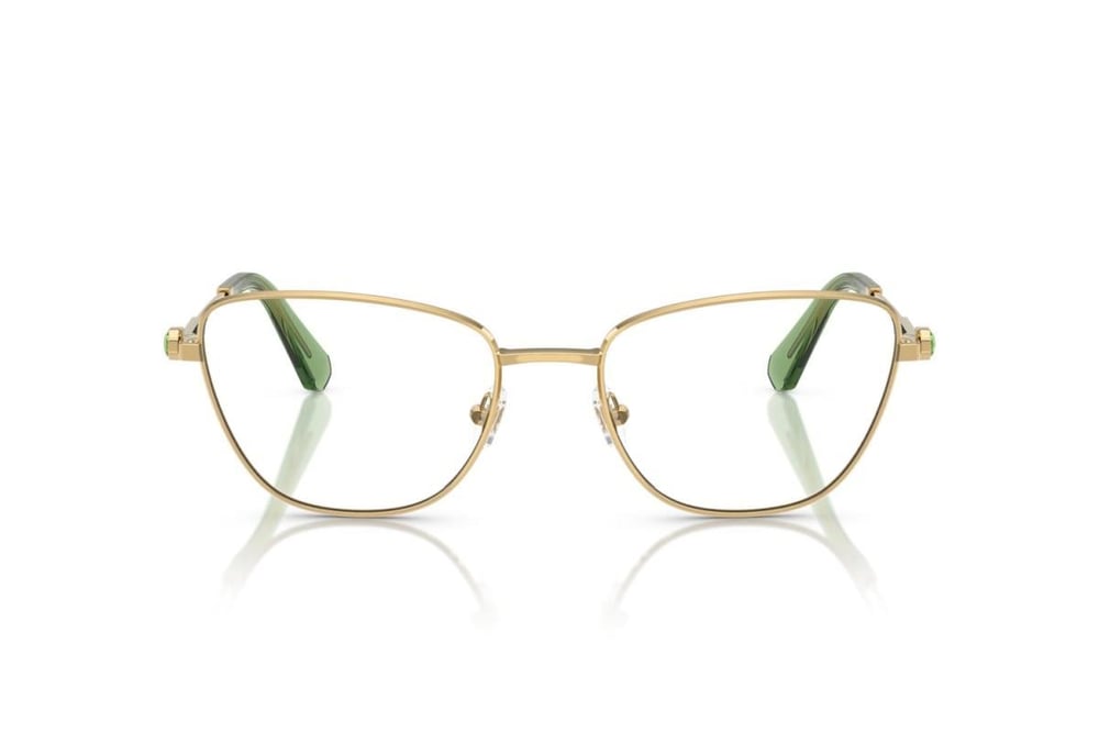 Swarovskı  1018 4017 53-19  Optik Çerçeve