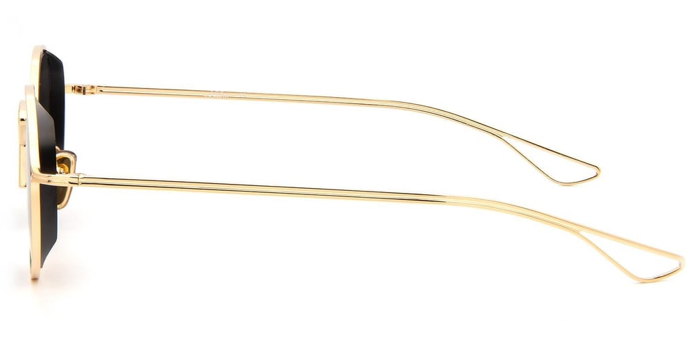 Falenti AE2408-C2 48 Unisex Güneş Gözlüğü