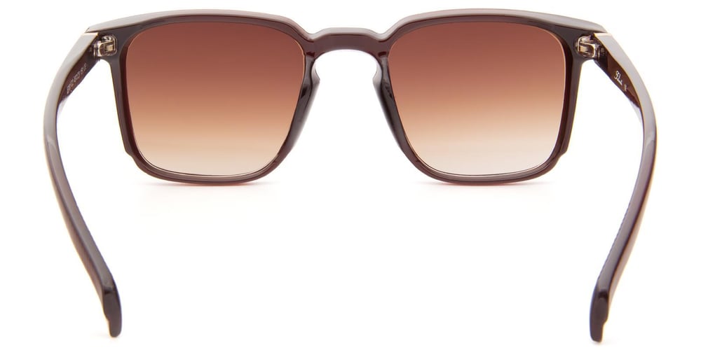 Falenti AE981-C2 49 Unisex Güneş Gözlüğü