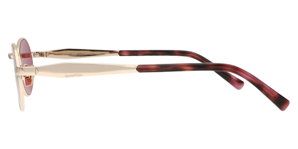 Quantum Q328.C3 49 Unisex Güneş Gözlüğü
