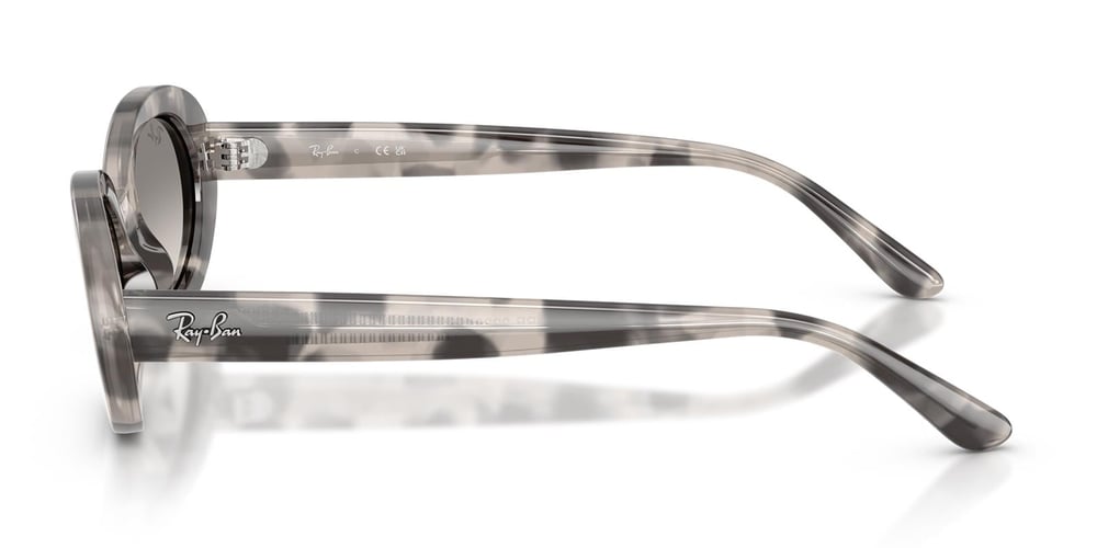 Ray-Ban RB2223 144832 54 Kadın Güneş Gözlüğü