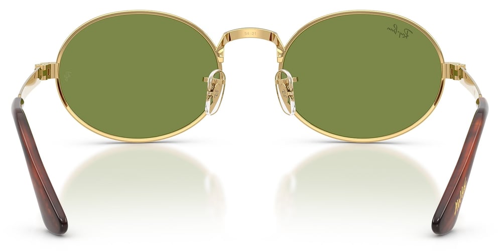 Ray-Ban RB3931 001/4E 54 A$AP ROCKY Unisex Güneş Gözlüğü