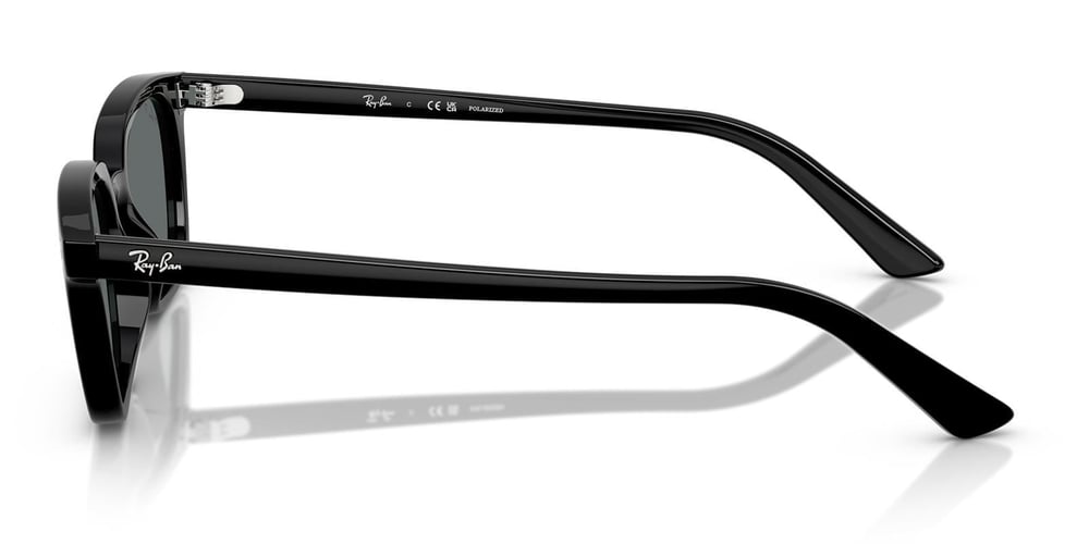 Ray-Ban RB4456 667781 53 Polarize Unisex Güneş Gözlüğü