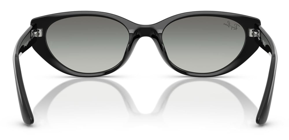 Ray-Ban RB4457D 667711 55 Unisex Güneş Gözlüğü