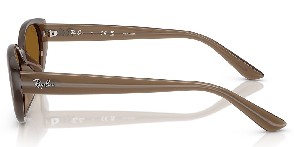Ray-Ban RB4457D 6779/83 55 Polarize Unisex Güneş Gözlüğü