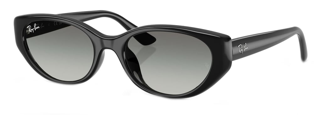 Ray-Ban RB4457D 667711 55 Unisex Güneş Gözlüğü