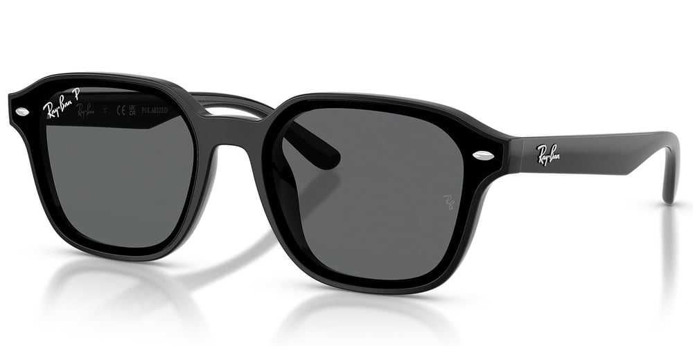 Ray-Ban RB4458D 601/81 65 Polarize Unisex Güneş Gözlüğü