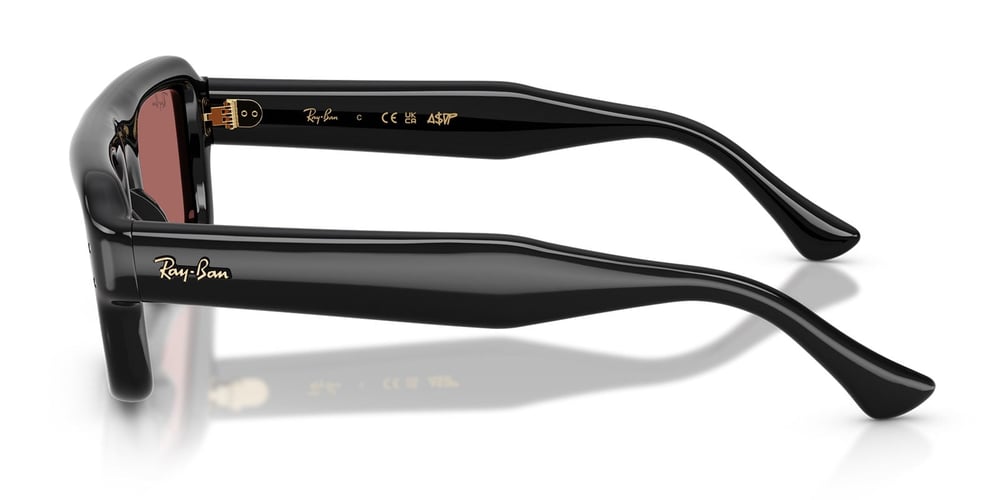 Ray-Ban RB4954 601/69 54 A$AP ROCKY Unisex Güneş Gözlüğü
