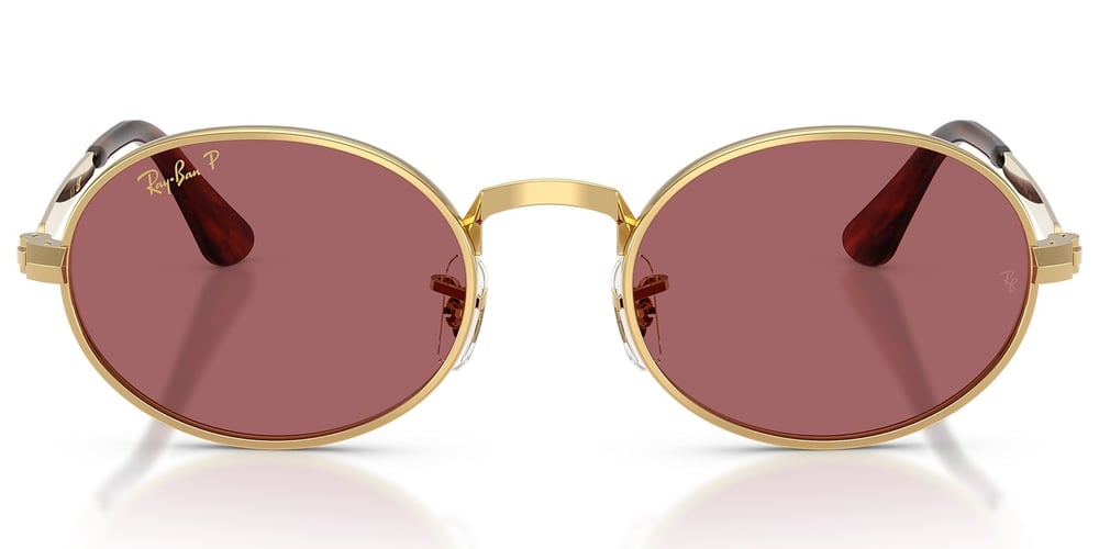 Ray-Ban RB3931 001/AF 54 A$AP ROCKY Polarize Unisex Güneş Gözlüğü