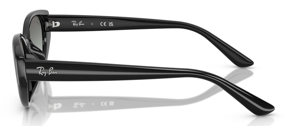 Ray-Ban RB4457D 667711 55 Unisex Güneş Gözlüğü