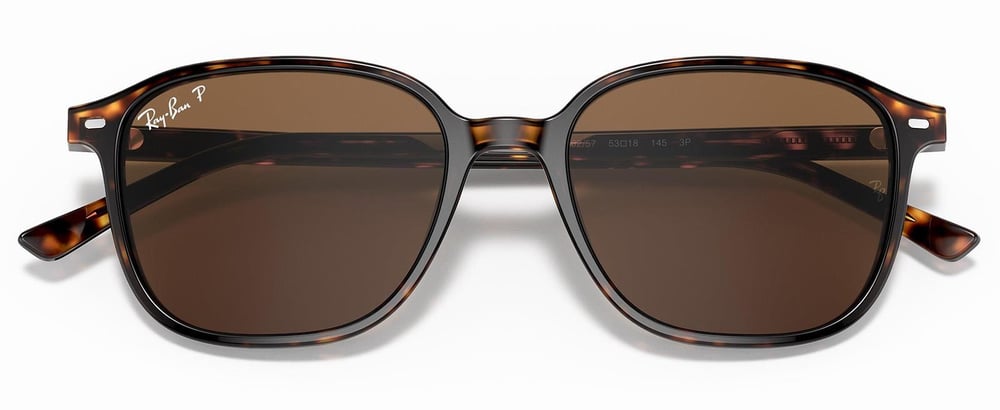 Ray-Ban RB2193 902/57 53 Polarize Unisex Güneş Gözlüğü