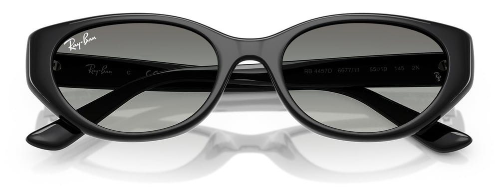 Ray-Ban RB4457D 667711 55 Unisex Güneş Gözlüğü