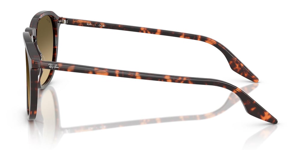 Ray-Ban RB2203 1429/0A 52 Unisex Güneş Gözlüğü