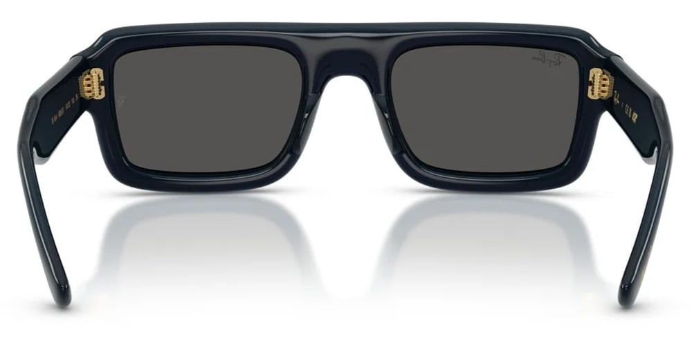 Ray-Ban RB4954 6895/87 54 Unisex Güneş Gözlüğü