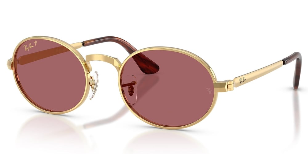 Ray-Ban RB3931 001/AF 54 A$AP ROCKY Polarize Unisex Güneş Gözlüğü