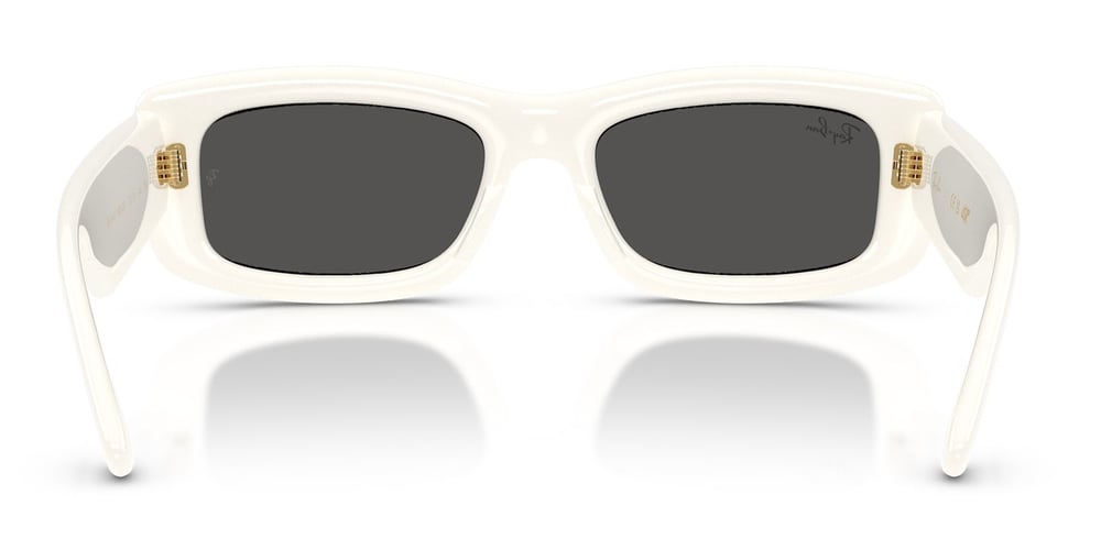 Ray-Ban RB4944 687487 55 A$AP ROCKY Unisex Güneş Gözlüğü