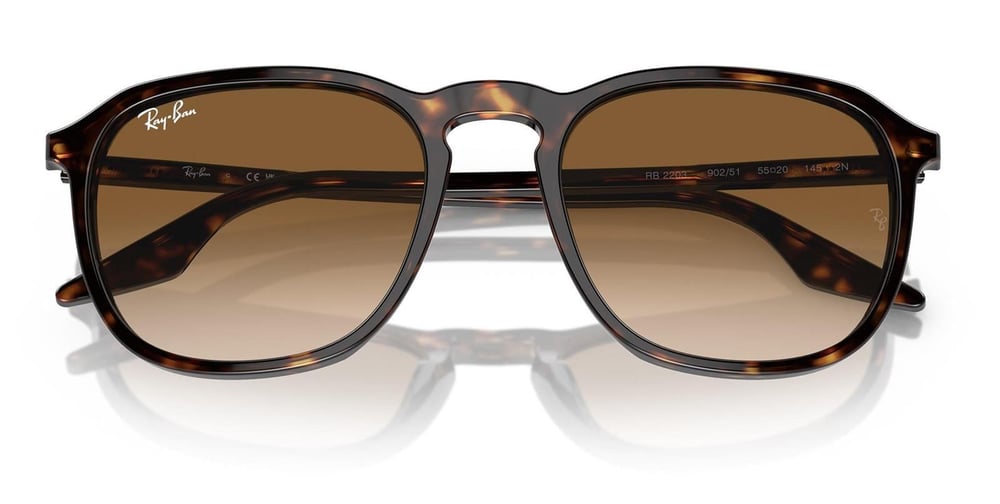 Ray-Ban RB2203 902/51 55 Unisex Güneş Gözlüğü