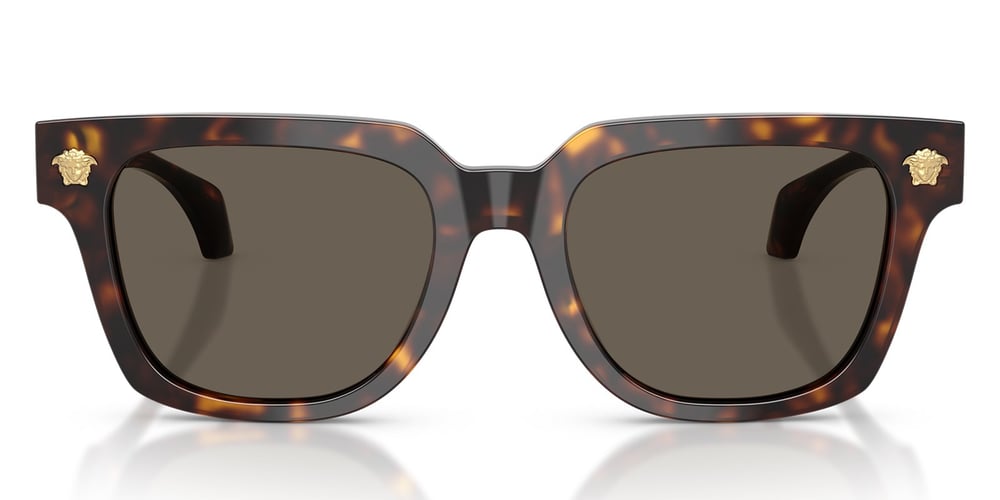 Versace VE4510U 108/3 52 Erkek Güneş Gözlüğü