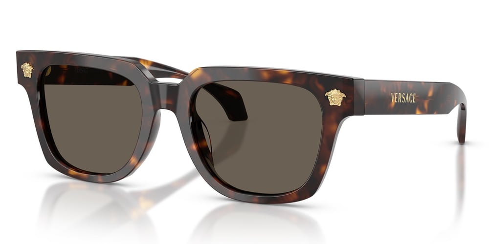 Versace VE4510U 108/3 52 Erkek Güneş Gözlüğü