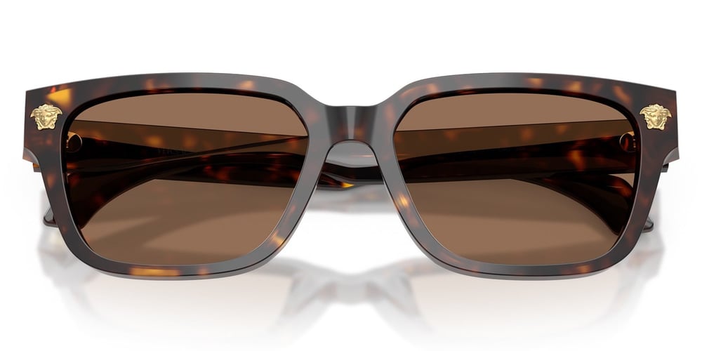 Versace VE4513D 108/73 56 Erkek Güneş Gözlüğü