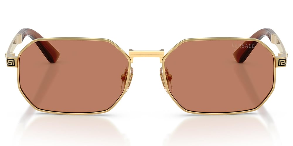 Versace VE2297 100273 54 Unisex Güneş Gözlüğü