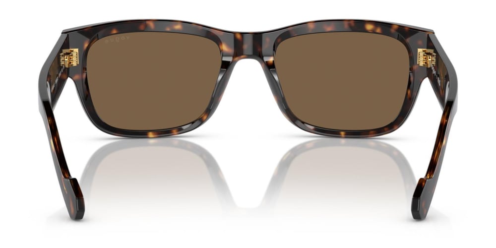 Vogue VO5530S W65673 55 Erkek Güneş Gözlüğü