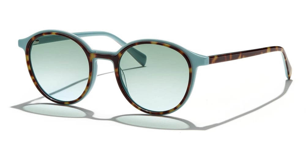 Zen Milano Eyewear YHP8106-C2 50 Unisex Güneş Gözlüğü