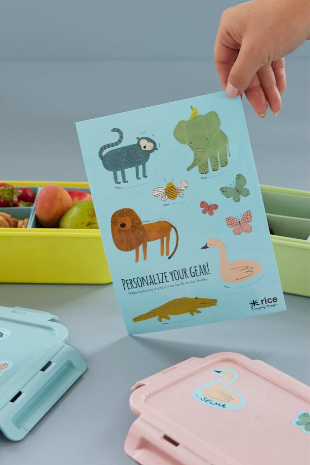 Rice Stickers - Dinazor Temalı, STICK-LUNCHG