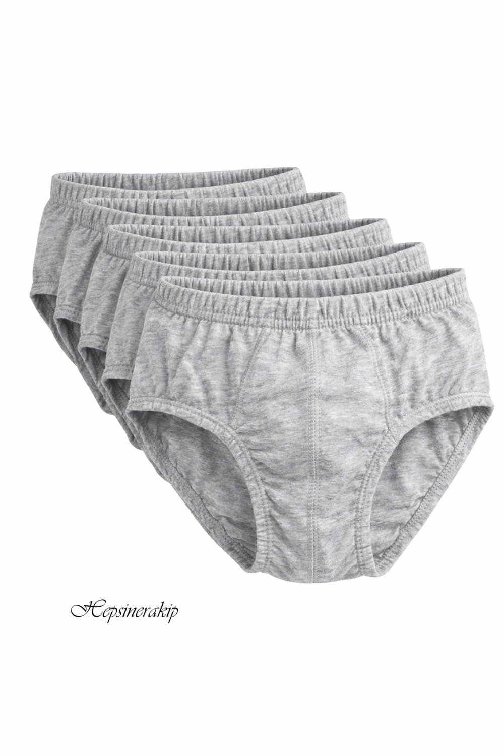 Seher 6 Adet Erkek Çocuk Pamuklu Slip Külot Seti SEC0037 Renkli Seri