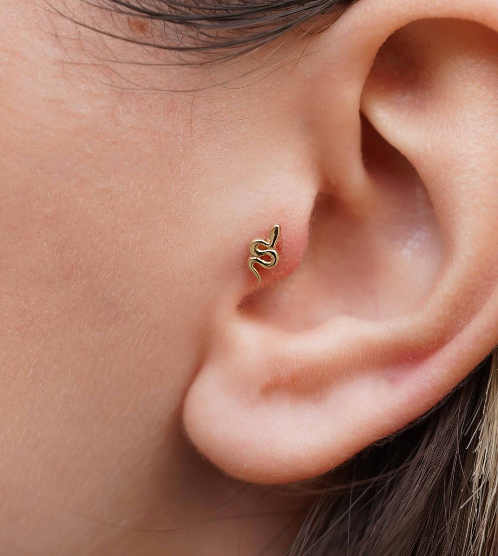Yılan Piercing