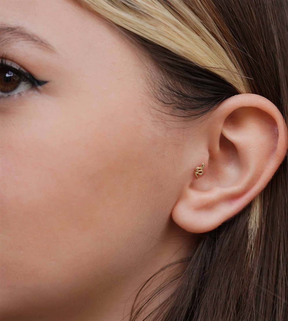 Yılan Piercing